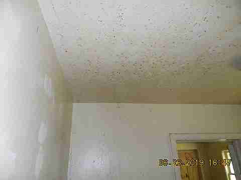 10035 Montrose (12)_m.jpg